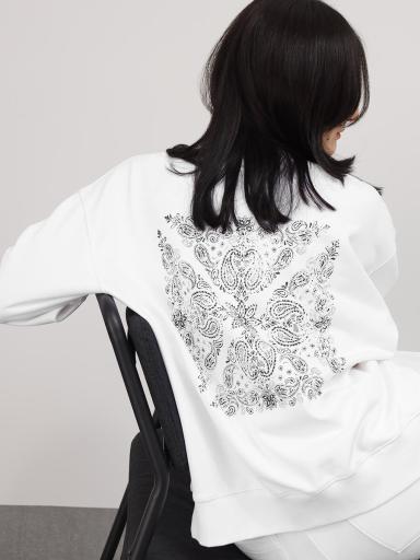 LASUDxセットアップ