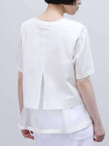 LASUDxTシャツ/カットソー