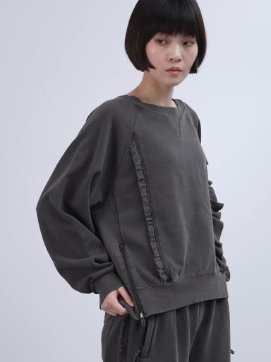 LASUDxセットアップ