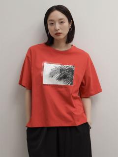 ダークオレンジ　165cm