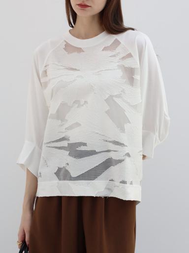 AgaxTシャツ/カットソー