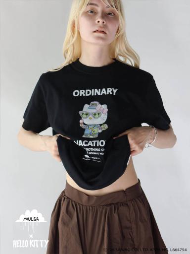 Boutique OrdinaryxTシャツ/カットソー