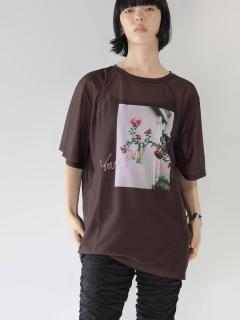 ブラウン　167cm