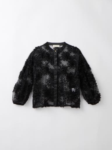 Amplexシャツ/ブラウス