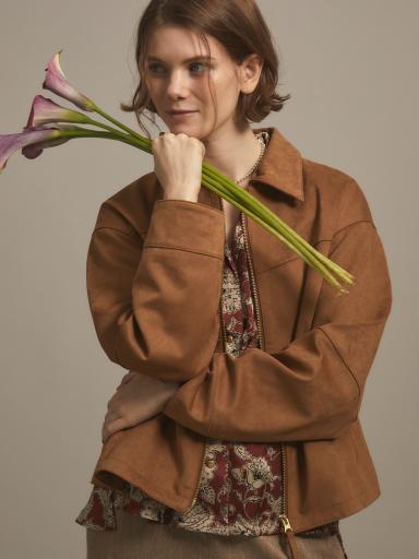 Amplexセットアップ