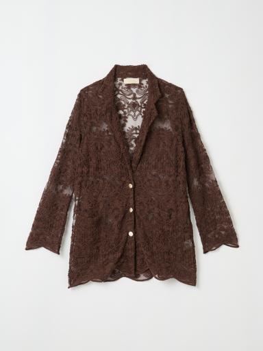 Amplexセットアップ