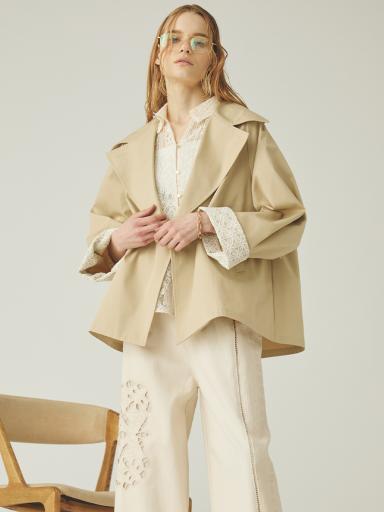 Amplexその他ジャケット